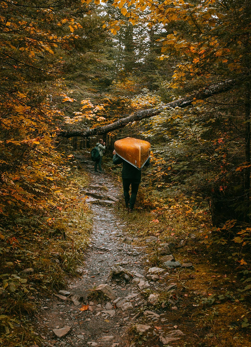 Man carrying a canoe through the woods.