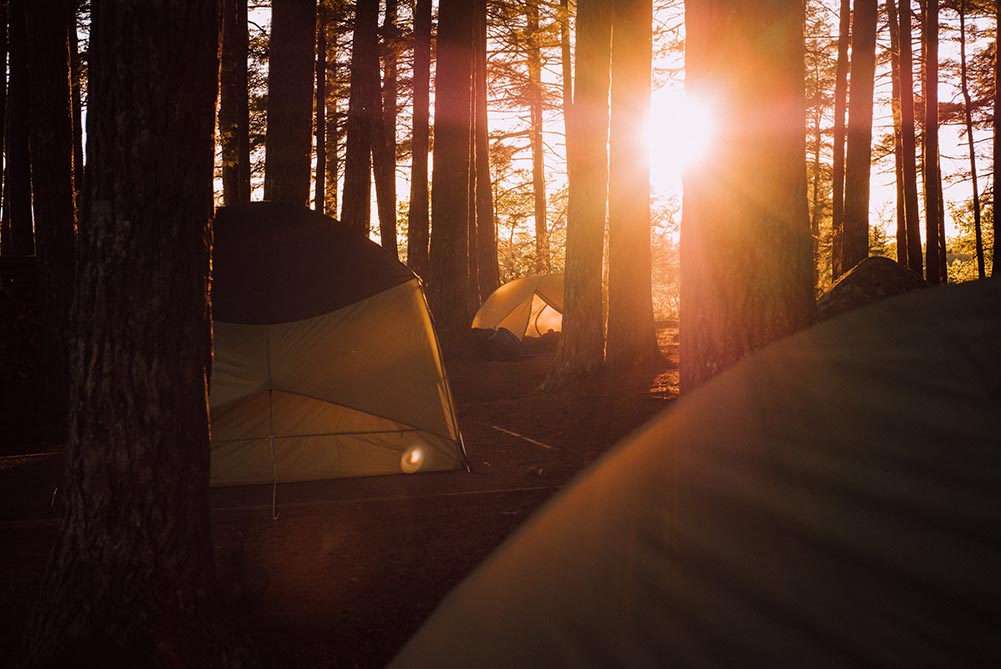 A group of tents within the woods.